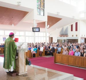 Bishop Vincent Long gives the homily for the CCD Mass. Photo: Diocese of Parramatta/Alfred Boudib.