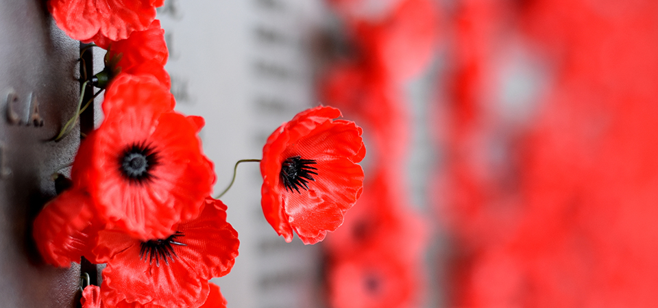 A reflection for Anzac Day