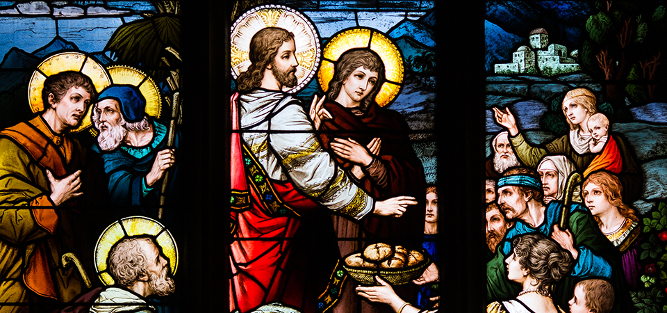 Reflection for the Wednesday of the First Week of Advent - Catholic Outlook