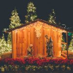 Experience the magic of Christmas: Carols and Nativity plays in the Diocese 