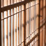 Some 200 Ethiopians sentenced to death in Saudi Arabia