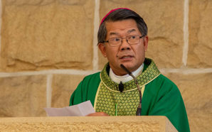 ‘My dear friends’ – Bishop Vincent’s homily from 23 January…