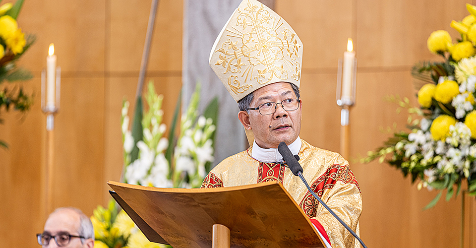 ‘Dear Brothers And Sisters’ – Bishop Vincent’s Homily From 25 April ...