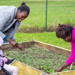 Sustainable gardening harvests a strong community