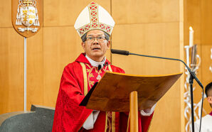 Bishop Vincent’s Homily: Ploughing the fields and sowing the seeds…