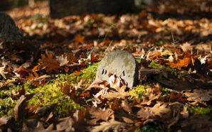 Old grave lit by sunlight, covered in leaves in overgrow cemetery