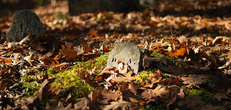 Old grave lit by sunlight, covered in leaves in overgrow cemetery