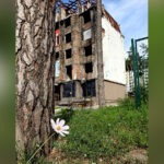 WATAC launches 2026 Sacred Conversations series with a call to peace