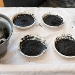 A reflection for Ash Wednesday