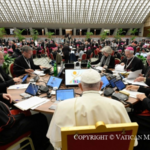 Synod: “I feel like I’m watching an enormous live news broadcast”