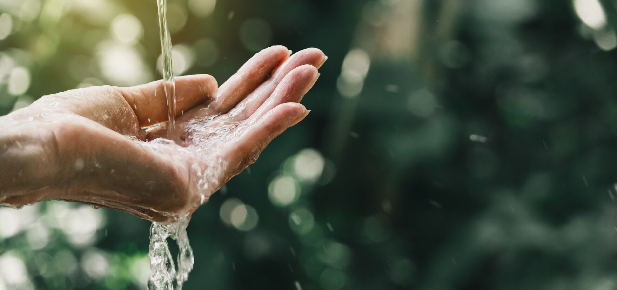 A reflection on Pope Leo XIV’s prayer Intention for September: For the care of water