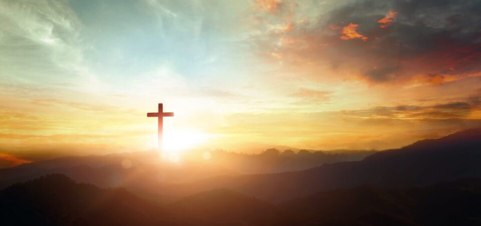 Fr Frank Brennan’s Homily for the 12th Sunday in Ordinary Time 2026