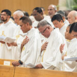 Name Clericalism Properly, or the Cure Will Do the Damage