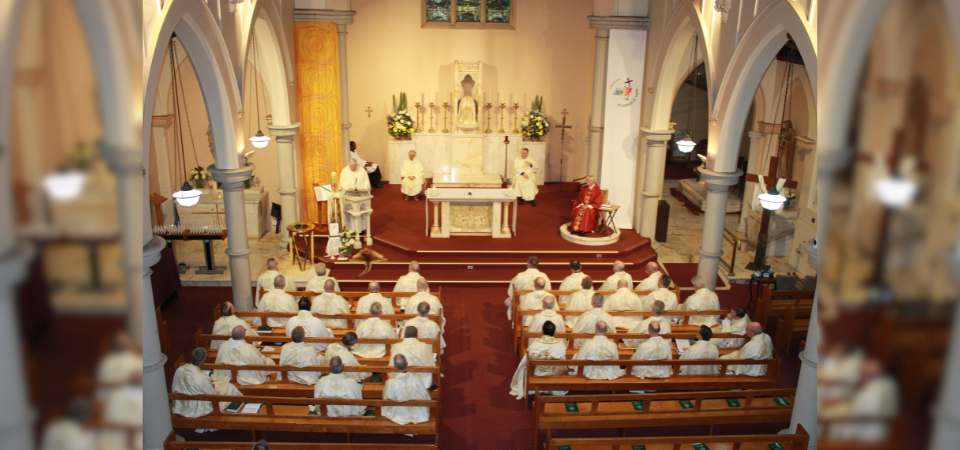 Australian bishops celebrate memorial Mass for Pope Francis