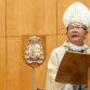 Bishop Vincent Long OFM Conv, Bishop of Parramatta, Image: Anna Amos @ threetwoone.com.au.