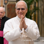 Pope to Christian Brothers: Inspire joyful and fruitful paths of holiness