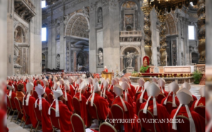 ‘Cardinals need prayers of the humble and little ones, each…