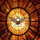 Pentecost Sunday - Dove representing the Holy Spirit. Image: Unsplash.