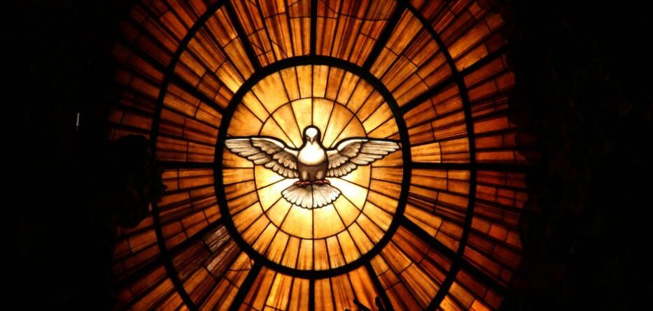 Pentecost Sunday - Dove representing the Holy Spirit. Image: Unsplash.