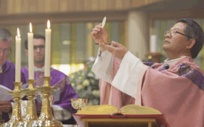 Bishop Vincent Long OFM Conv, Bishop of Parramatta. Image: Diocese of Parramatta.