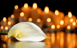 Eternal rest grant unto them, O Lord. Image: Shutterstock.