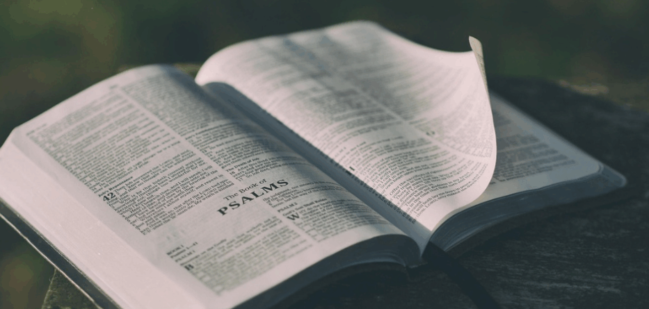 The living Word. Image: Pixabay.