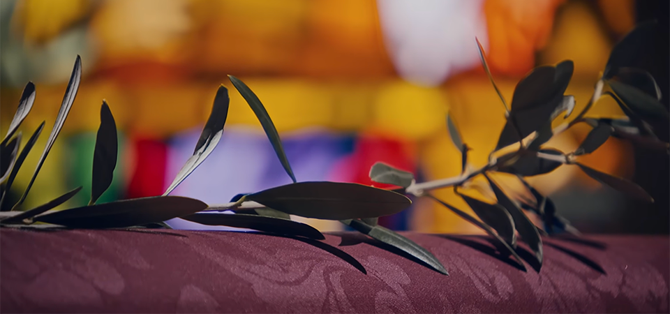 Making a Difference: During global Prayer Vigil for Peace, Pope Leo urges us to stop making war!