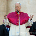 When power names the pope: The meaning of Trump’s attack on Leo XIV