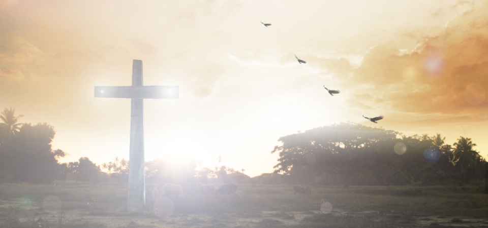 Fr Frank Brennan’s Homily: 4th Sunday of Easter 2026