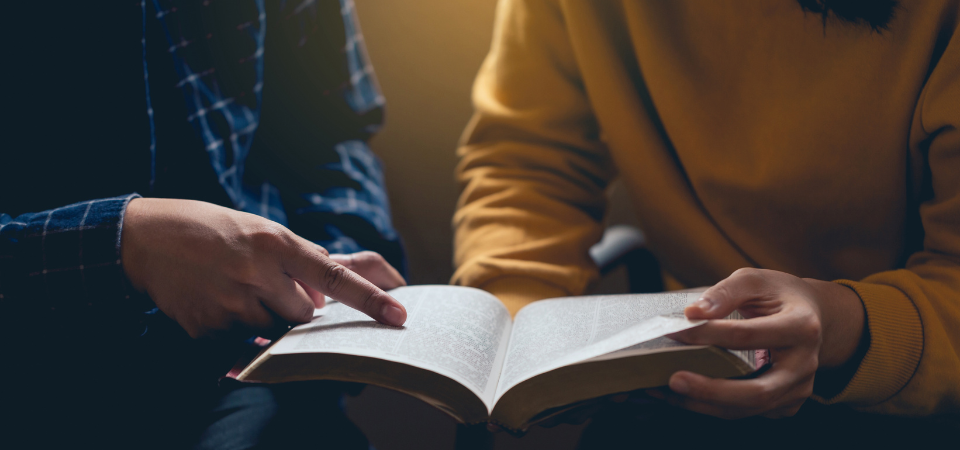 The Loom of Literature: How good writing promotes the common good