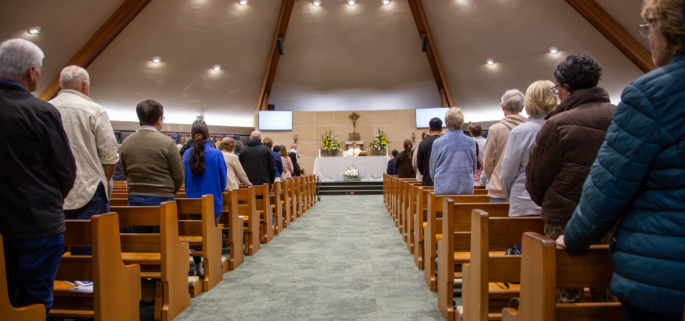 Parish Profile: Parish of Baulkham Hills – ‘Bridging Past and Future’
