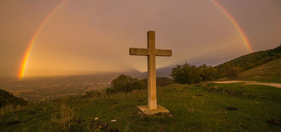 Vatican body develops concept of ‘ecological sin’ in spiritual salvo on the environment