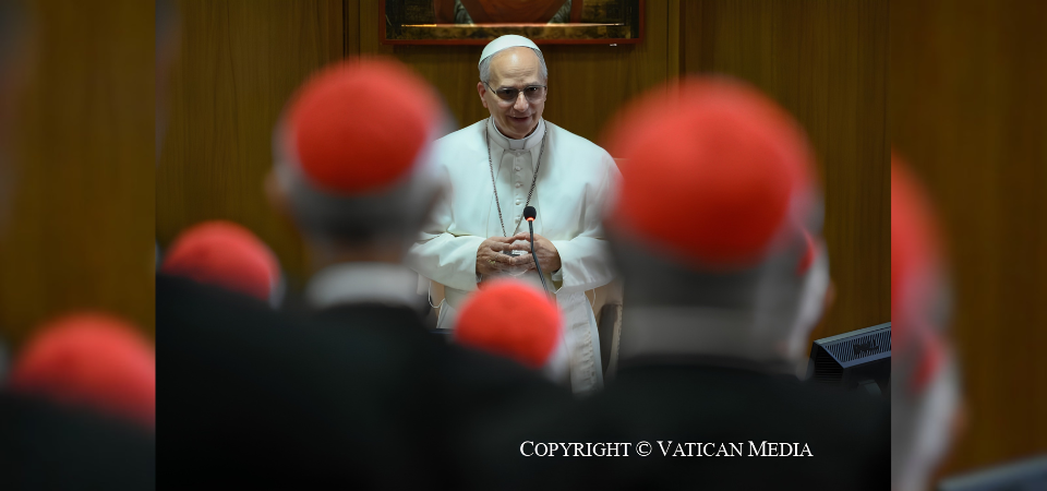 A ‘Leonine’ Version of Synodality?