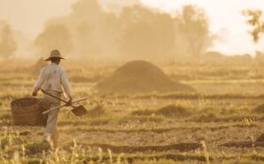 Labourer in a field for the parable of the treasure in the field
