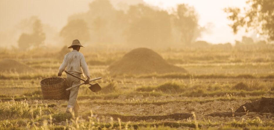 Labourer in a field for the parable of the treasure in the field