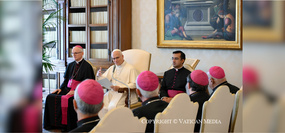 Pope: Amid conflict, Church must bear witness to service and hope