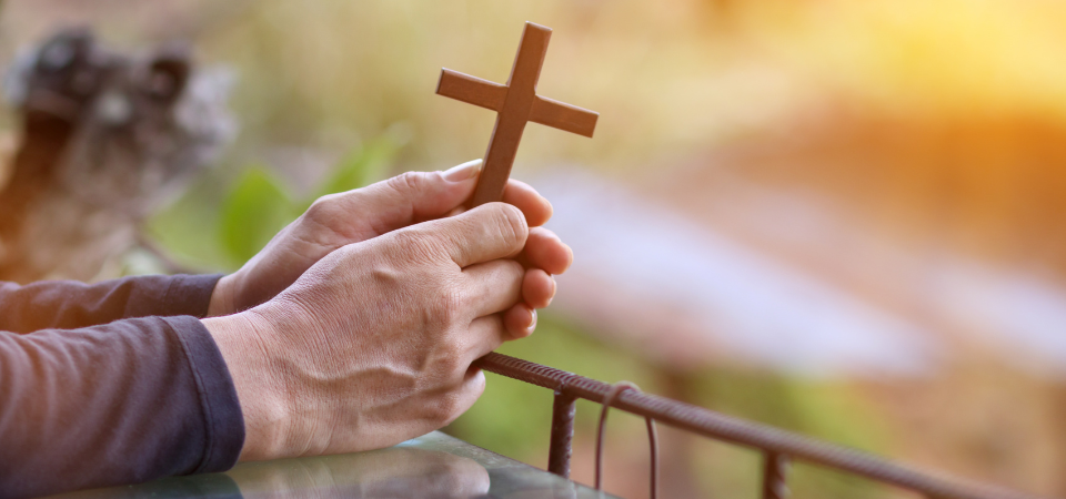 Fr Frank Brennan’s Homily for the 24th Sunday in Ordinary Time, 2026