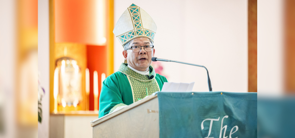 Bishop Vincent’s Homily for the 27th Sunday in Ordinary Time 2026
